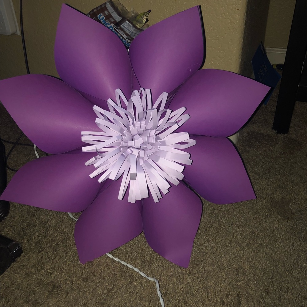 Meet your Posher, Cynthia